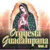 Orquesta Guadalupana - Vol. 2